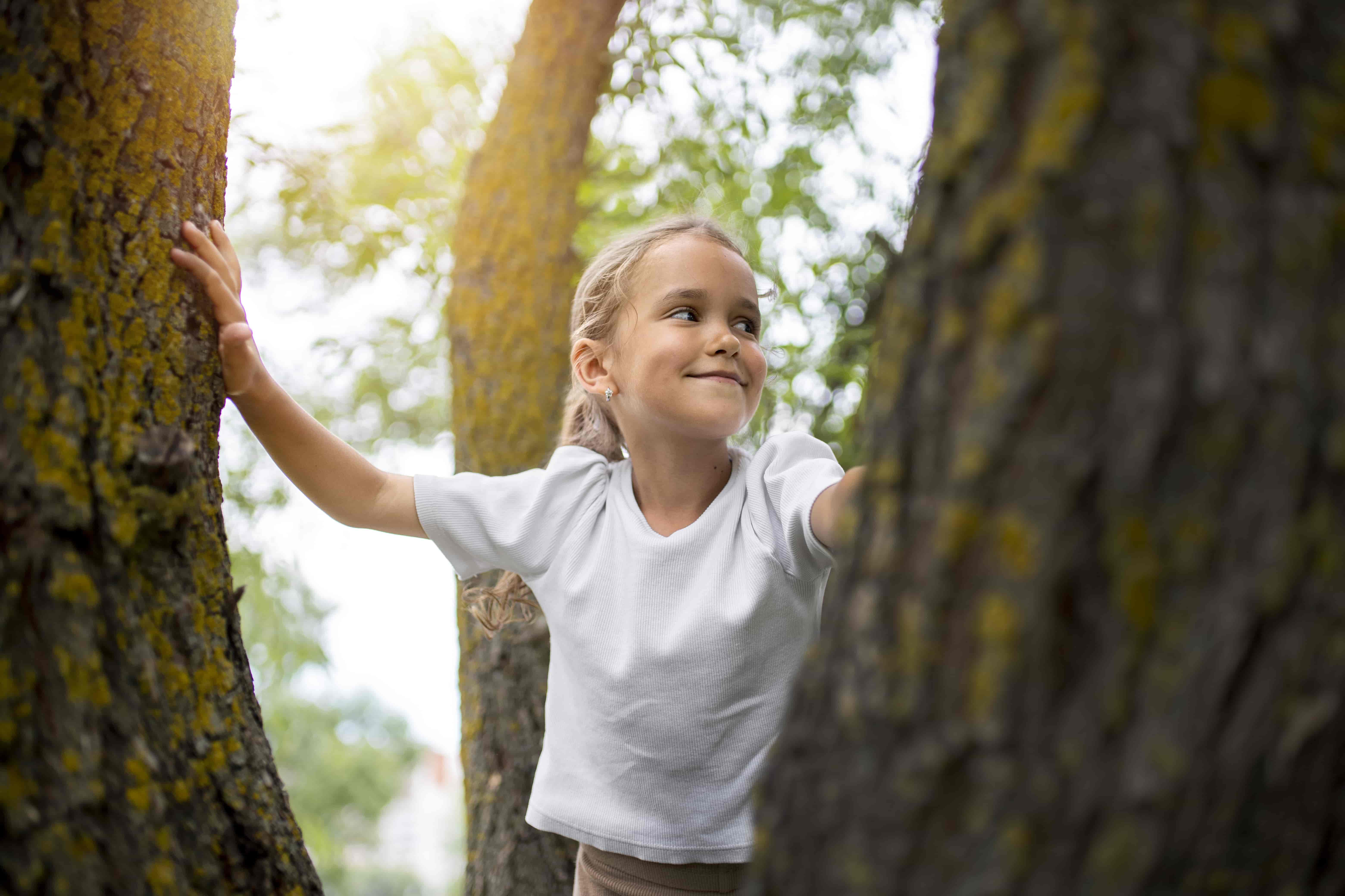 Picades de paparra: la tècnica correcta per retirar-les de la pell