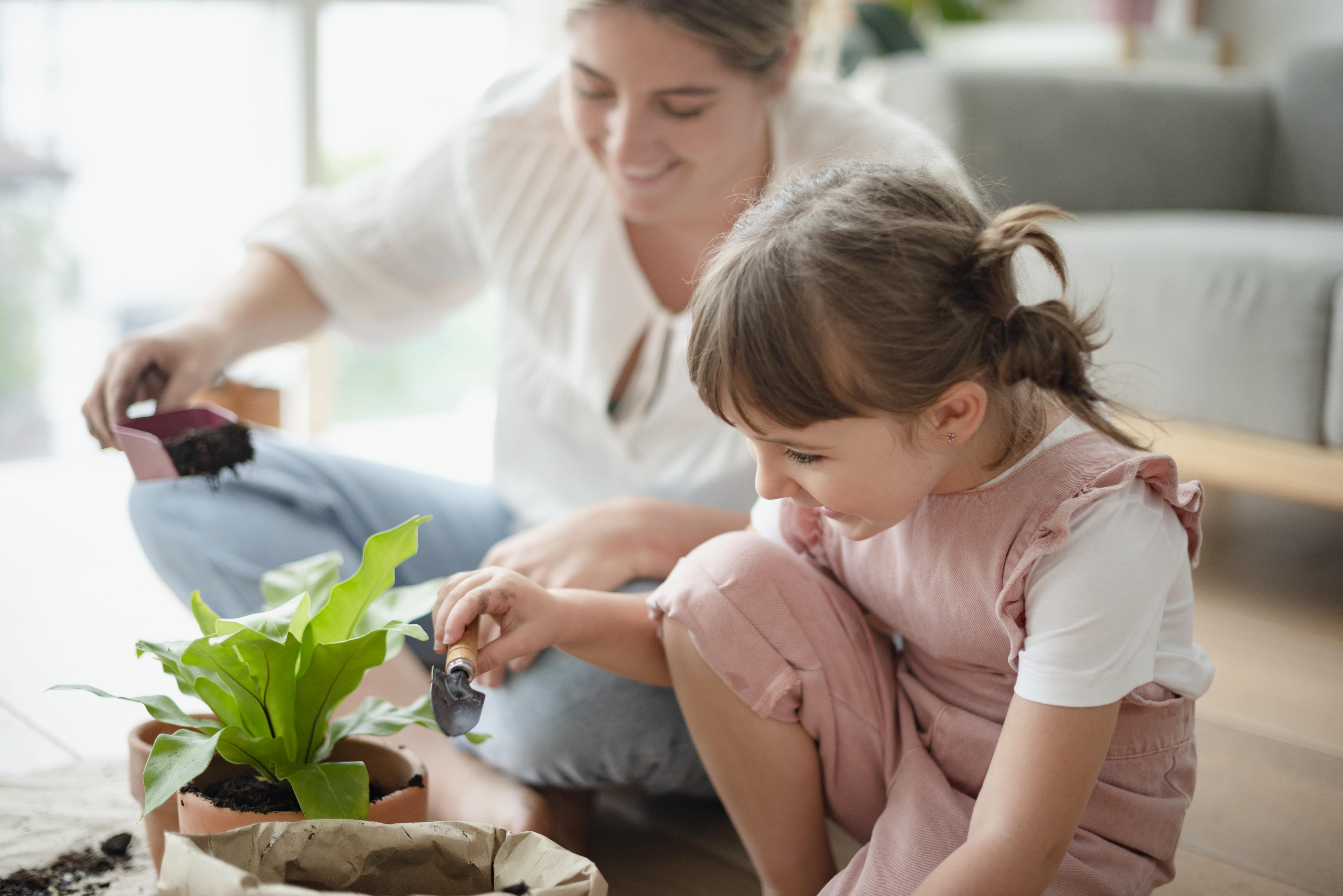 Salut mediambiental. Què està a les nostres mans?