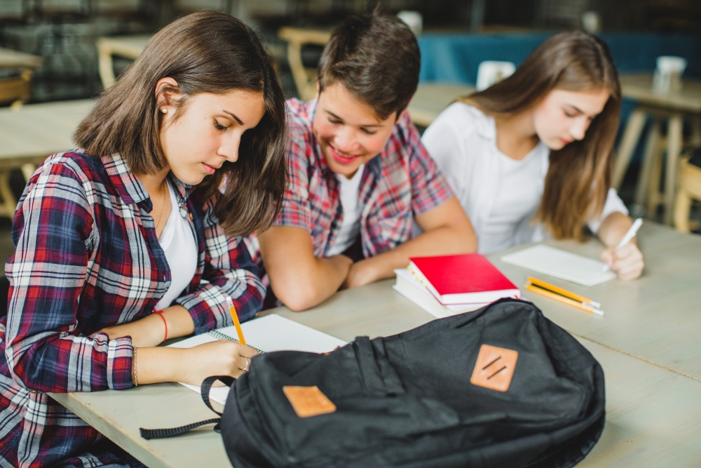 Neurodesenvolupament cerebral: Què succeeix durant l’adolescència?