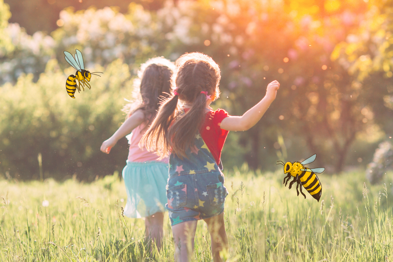 Picades típiques de l'estiu: què hem de fer?