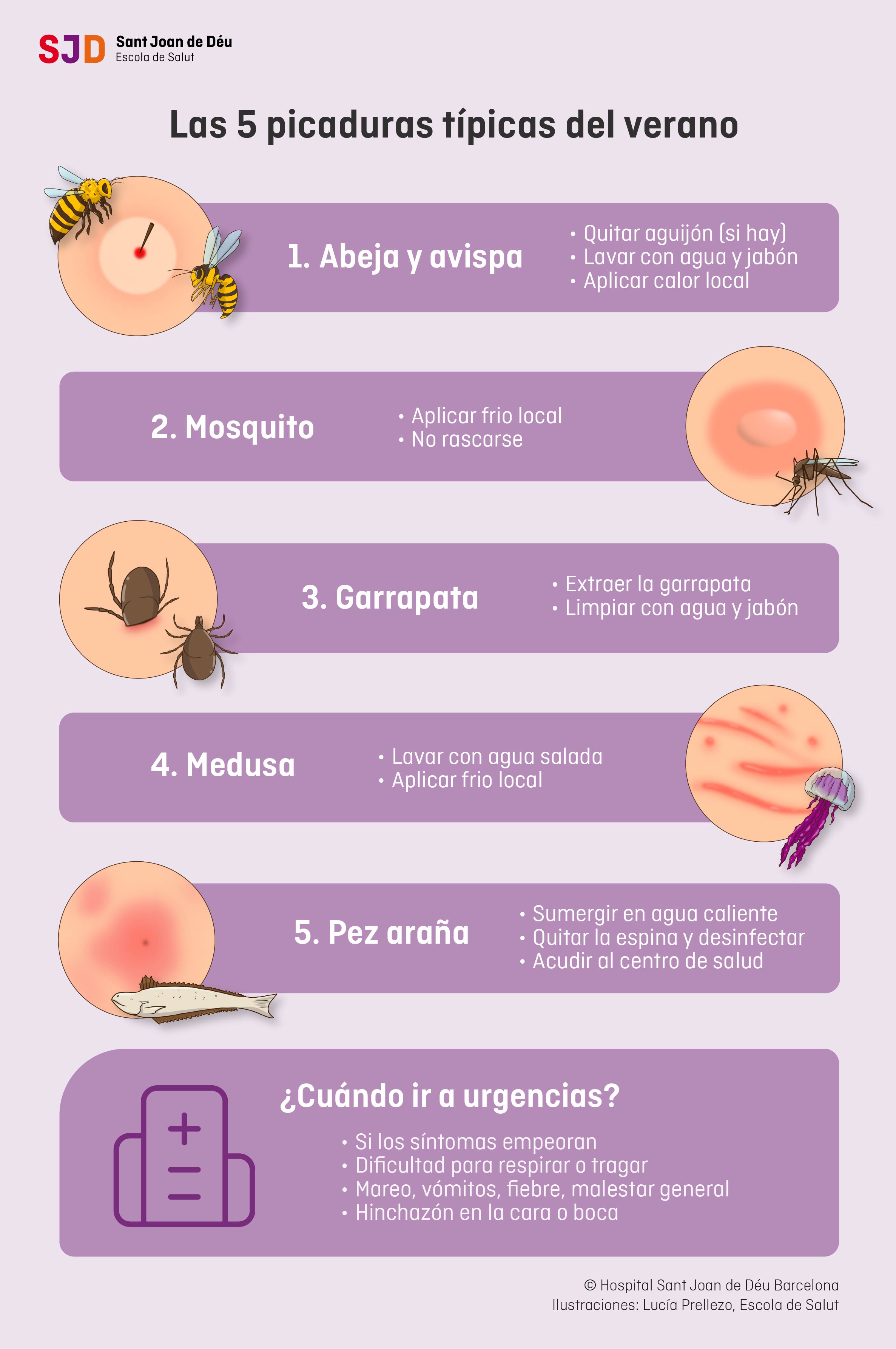 infografía resumen picadas típicas verano