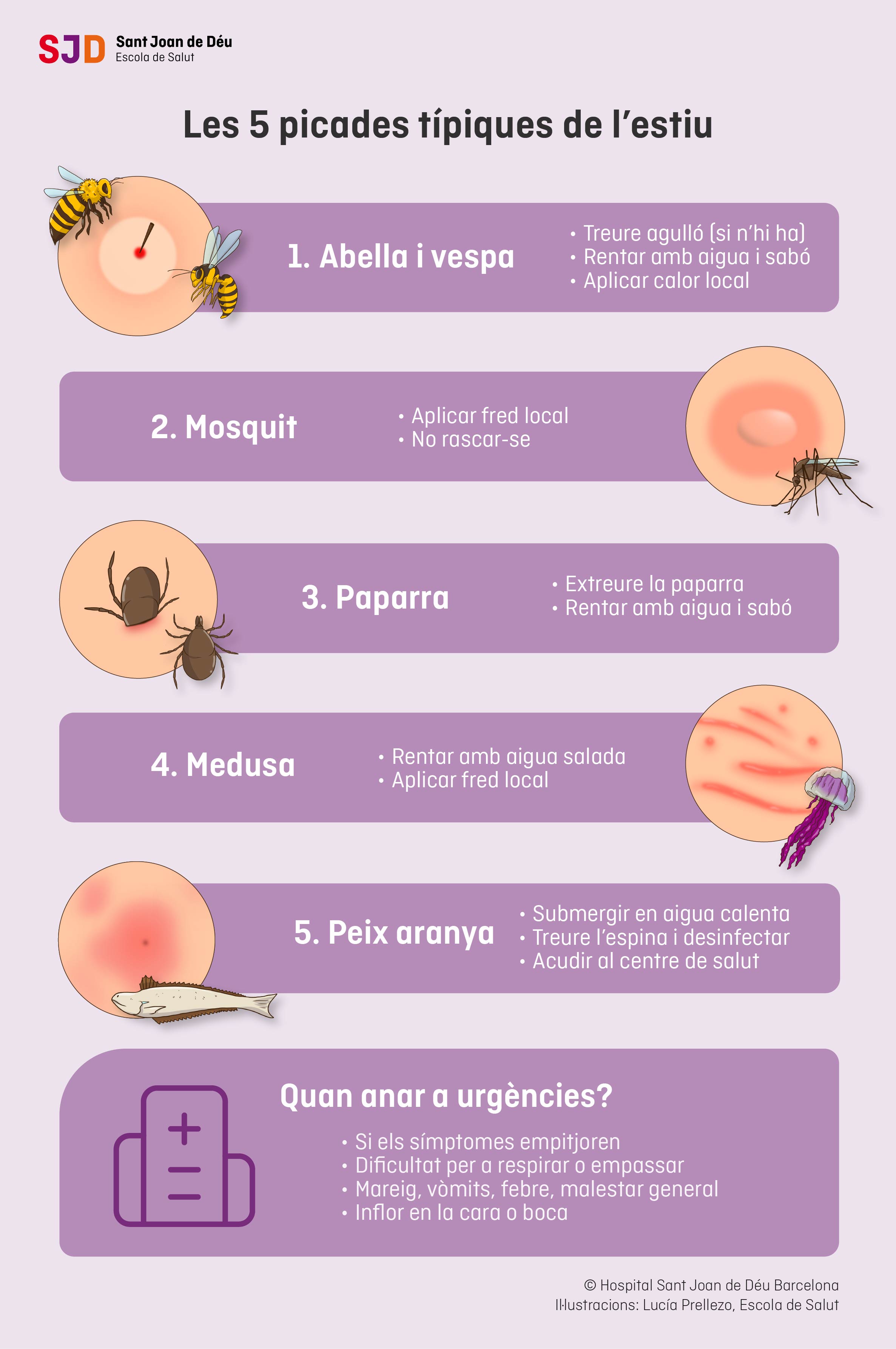 Infografia resum picades típiques estiu
