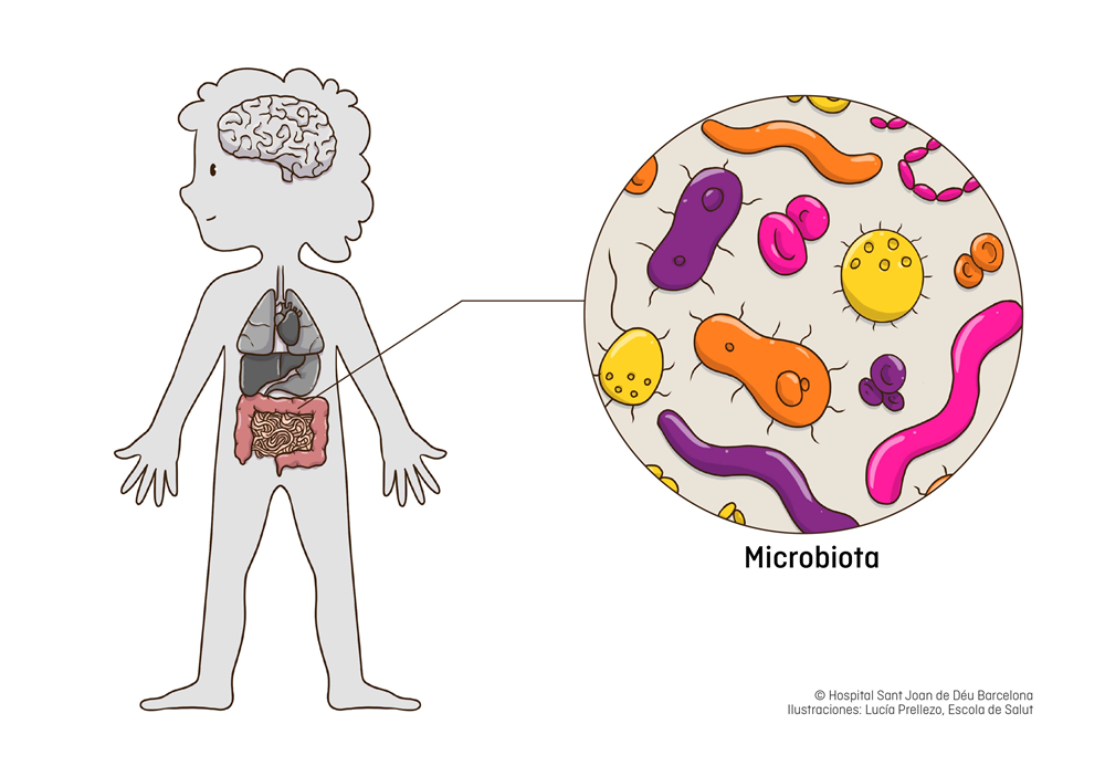 microbiota